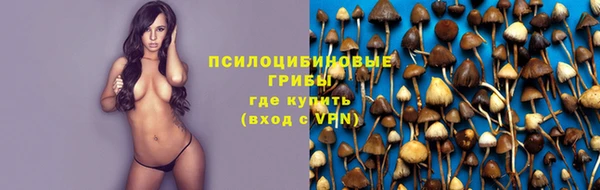 молекула духа Новокубанск