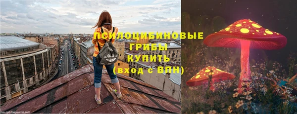 амф Нягань