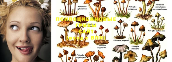 MESCALINE Нязепетровск