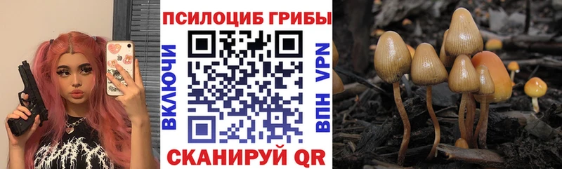 Галлюциногенные грибы Psilocybe  Абдулино 